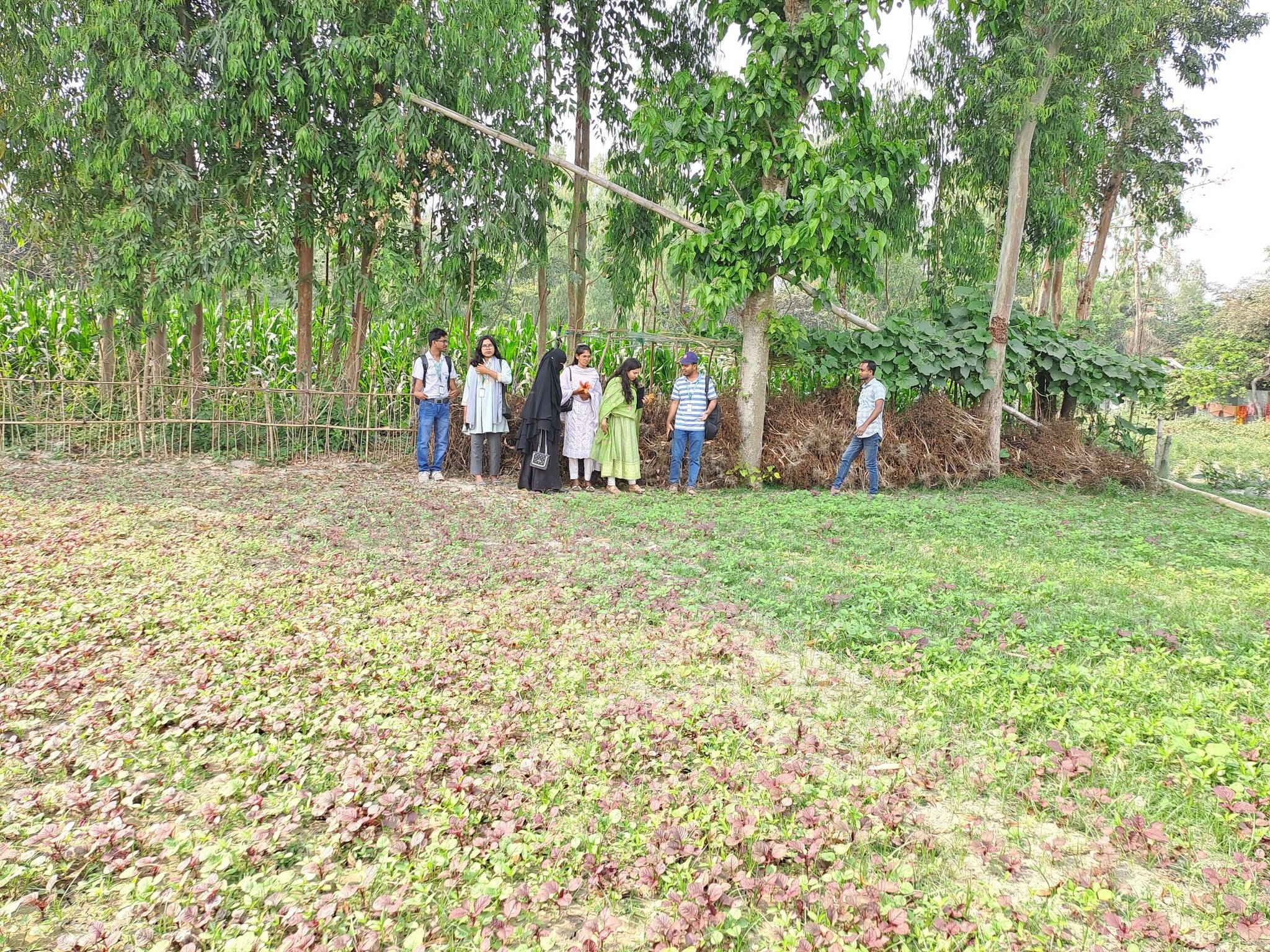 National Volunteer of VSO Bangladesh Visits Gaibandha EcoCycle Project