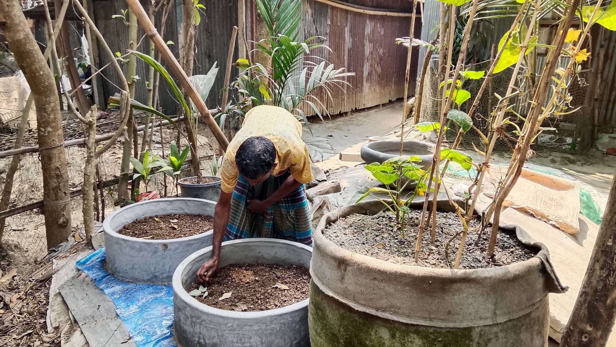 Compost Production Initiative under EcoCycle Project in Gaibandha